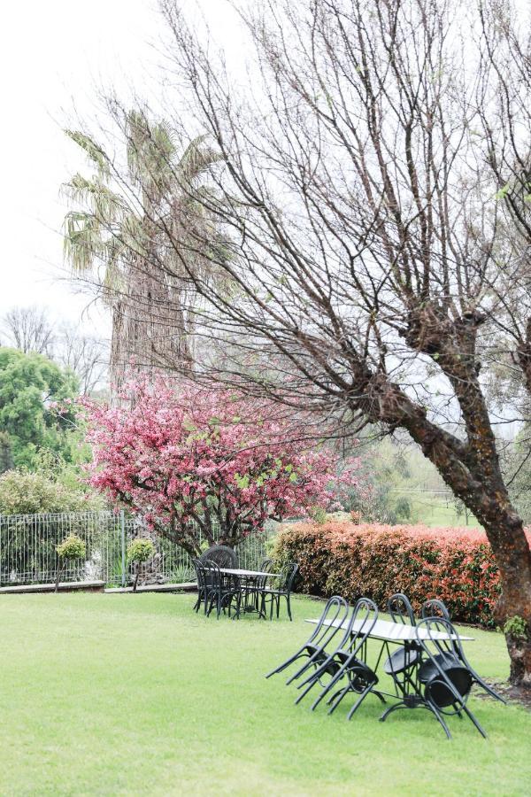 Harriet House Tumut Motel ภายนอก รูปภาพ